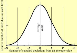 Summary if essay the bell curve